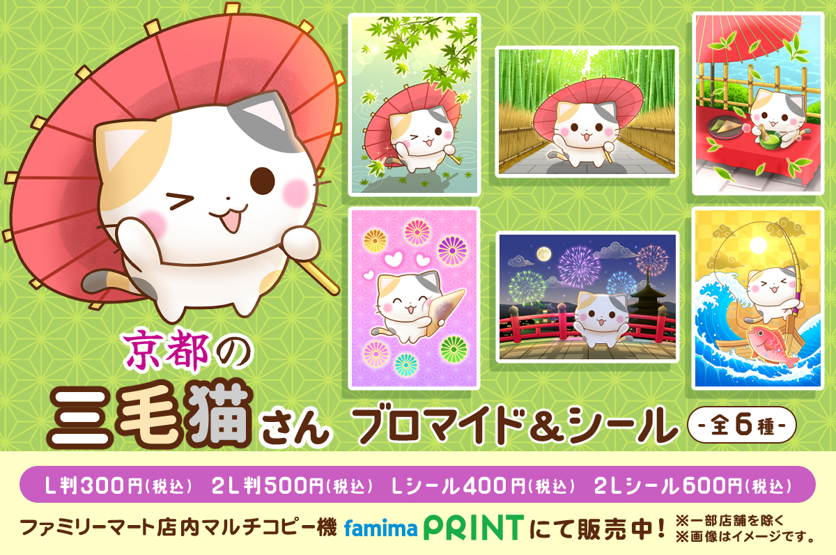 京都の三毛猫さん