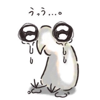p316_メンピ主