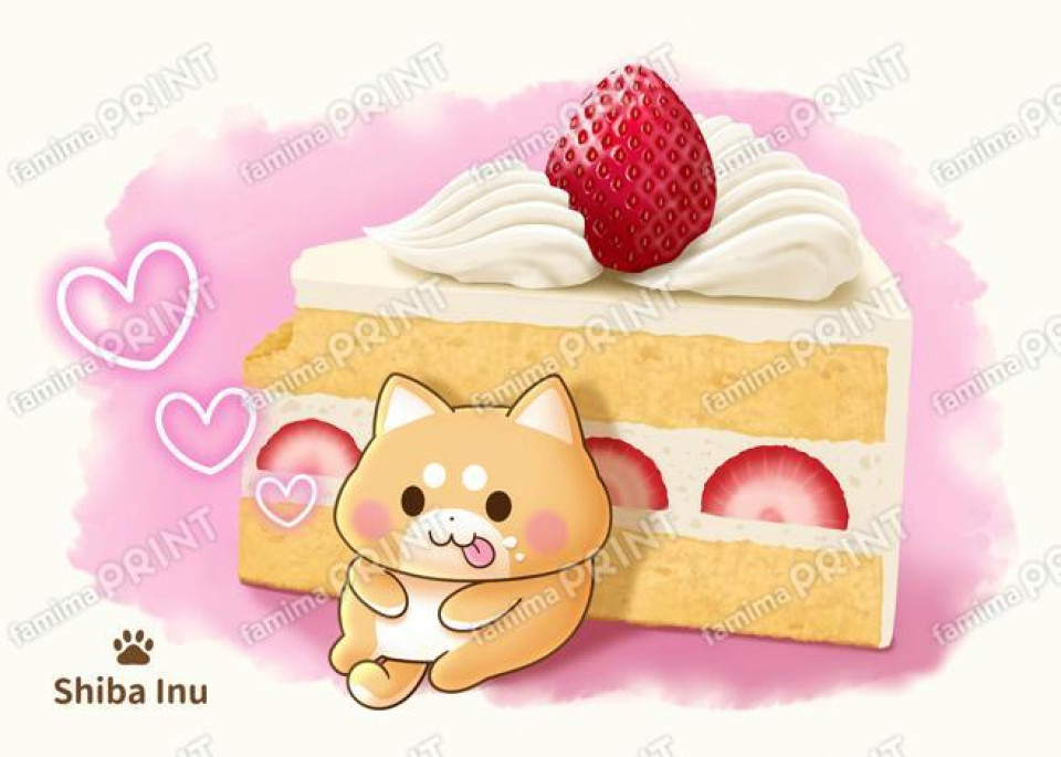 しばいぬちゃん ショートケーキ