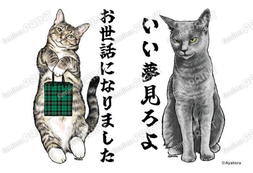Ayatora リアル猫シール&ブロマイド06
